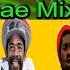 STRICTLY CONSCIOUSNESS REGGAE MIX Vol 1 Clean Reggae 90 S Conscious Reggae