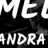 Sandra N Chameleon Lyrics Video