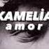 Kamelia Amor S L O W E D