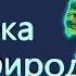 Влияние человека на природу Как это работает