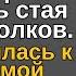 Вокруг привязанной к дереву сироты собралась стая воющих волков Она готовилась к неминуемой смерти