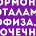 Гормоны Общие закономерности гипофиз гипоталамус щитовидная железа надпочечники