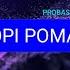 ОЙ ПО ГОРІ РОМАН ЦВІТЕ PROBASS HARDI Feat Ю Йосифович українські пісні на повторі REMIUA