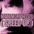 SLAUGHTER HOUSE 2 X METAMORPHOSIS 3 X VENDETTA REMIX Speed Up