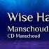 Wise Hand Manschoud