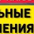 Германия обстановка накаляется Скандальные разоблачения Украинцев развратила немецкая бюрократия