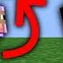 Minecraft But Shearing Drops OP Items