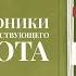 Хроники странствующего кота Х Арикавы судьбоносная дружба кота и его человека