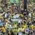 Why Brazilians Are Angry BBC News