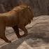 Furious Lion Vs Angry Lion King Boss Fight Ultimate Lion Simulator