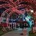 Night At Navro Z Park Uzbekistan Tashkent Travel Navroz Park Lights