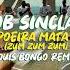 Bob Sinclar Capoeira Mata Um Zum Zum Zum Louis Bongo Remix