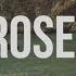 The Chainsmokers Roses Lyric Video Ft ROZES