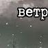 СТИХИ Холодной снежной ветреной зимой Любовная Лирика Поэзия Анны Пивоваровой