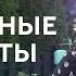 СОВЕТЫ НУТРИЦИОЛОГА НАСТИ ГОЛОБОРОДЬКО Локальные и Сезонные Продукты Томаты и Соль