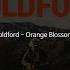 Goldford Orange Blossoms 가사 번역