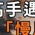 99 人都不知道的 慢馬定律 卻是一個人走上坡路的關鍵 看懂的 比中彩票還賺 深夜讀書 佛禪 中老年心語 晚年生活 深夜讀書 智慧