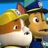 Bully Maguire In Paw Patrol