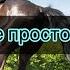 Клип про конный спорт это не просто спорт