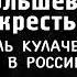 Большевики и крестьяне историк Валентин Сахаров