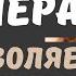 Элизабет Гилберт цитаты заставляющие поверить в себя