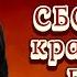 Сказка Востока Сборник красивых песен Kavkaz Box