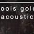 Passenger Fools Gold Acoustic Official Album Audio