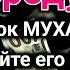 Дуа в среду ДАЕТ УВАЖЕНИЕ БОГАТСТВО РИЗК ДЕНЬГИ УСПЕХ И СЧАСТЬЕ