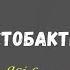 Стойкие противоопухолевые лактобациллы Мечников о болгарской палочке Хеликобактер