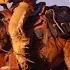 1900 Miles In 10 Days On Horseback A Brief History Of The Pony Express