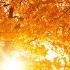 Beautiful Relaxing Hymns Peaceful Instrumental Music Golden Autumn Morning Sunrise By Tim Janis