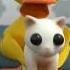 Kucing Joget Dengan Bebek Packyfilm Duck Cute Anime Funny Funnycat Babyduck Kucing