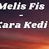 Melis Fis Kara Kedi Lyrics Turkish