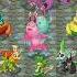 Faerie Island Full Song 4 5 My Singing Monsters