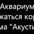 Аквариум Держаться корней Акустика 1982