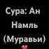 Сура Ан Намль Муравьи Чтецы Билал Дарбали и Мухаммад Дибиров Красивое Чтения Корана Quran