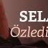 Selami Şahin Özledim Her Şeyini Official Audio