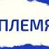 Лидер и племя Библиотека предпринимателя Виктория Мельник