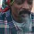 Snoop Dogg Roaches In My Ashtray Feat ProHoeZak Official Music Audio