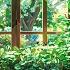 Healing Zone Lofi Coffee Lofi Deep Focus Study Calm Heal Lofi Hip Hop Lofi Chill