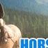 Horse Trotting Sound Effect Horse Hoof Sounds