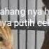 Ciri2 Burung Cici Padi Jantan Dn Betina Yg Tepat Dn Akurat Akurat Lidah Rahang Jantan Hitam