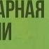 Популяция элементарная единица эволюции Видеоурок по биологии 11 класс