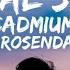 Cadmium No Friends Lyrical Status Ft Rosendale Shorts NoFriends Rosendale Cadmium