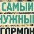 Дениэл Либерман Дофамин самый нужный гормон Как молекула управляет человеком Аудиокнига