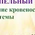 Светотворение человека Нормирование кровеносной системы зрения Цапельный луч Геннадий Брага