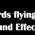 Birds Flying Sound Effect