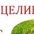 Электрокультиватор против целины испытание электрокультиватора