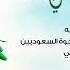 شعب الإمارات يشارك الشعب السعودي احتفالاته باليوم الوطني عبر عمل إبداعي في نافورة دبي