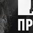 Что такое общественный прогресс Роман Осин Философский камень 14